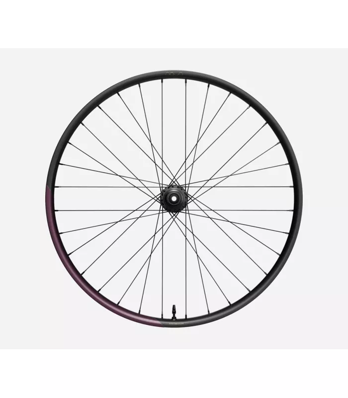 Roue arrière OQUO MC32LTD SHIMANO MS