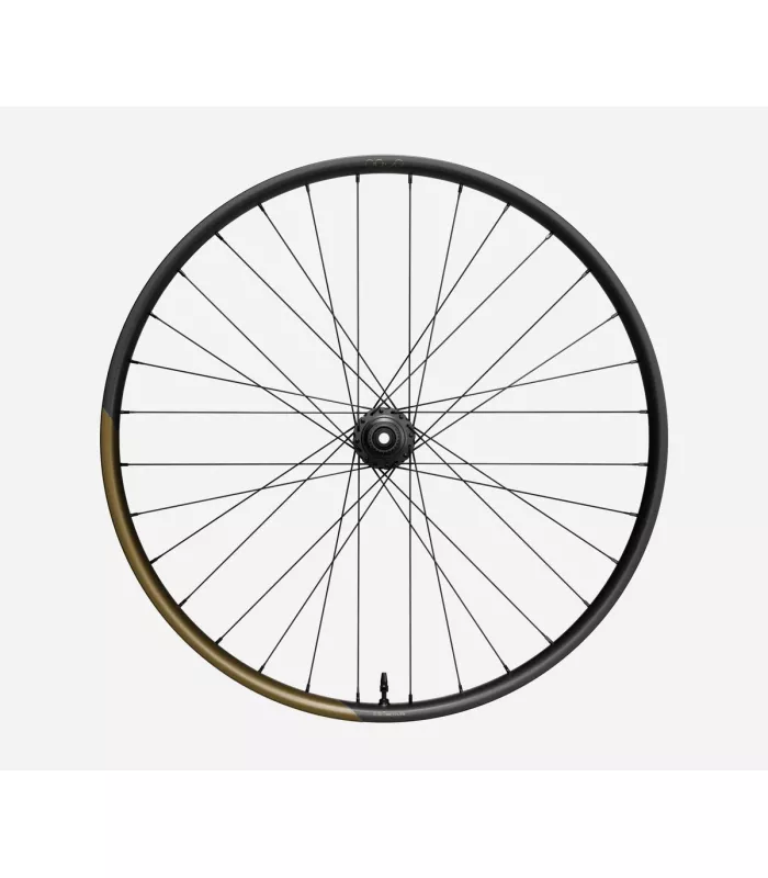 Roue arrière OQUO MC32LTD SHIMANO MS