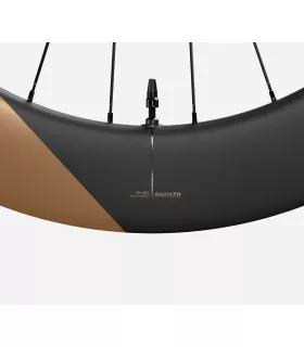 Roue arrière OQUO RA80LTD SHIMANO HG