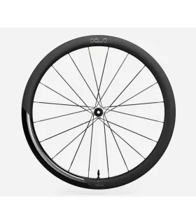 Roue arrière OQUO RP45LTD CS SHIMANO HG