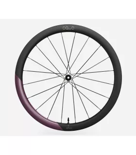 Roue arrière OQUO RP45LTD CS SHIMANO HG