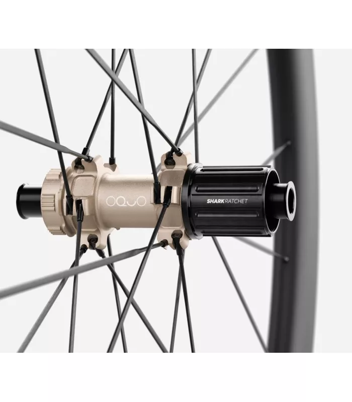 Roue arrière OQUO RP45LTD CS SHIMANO HG