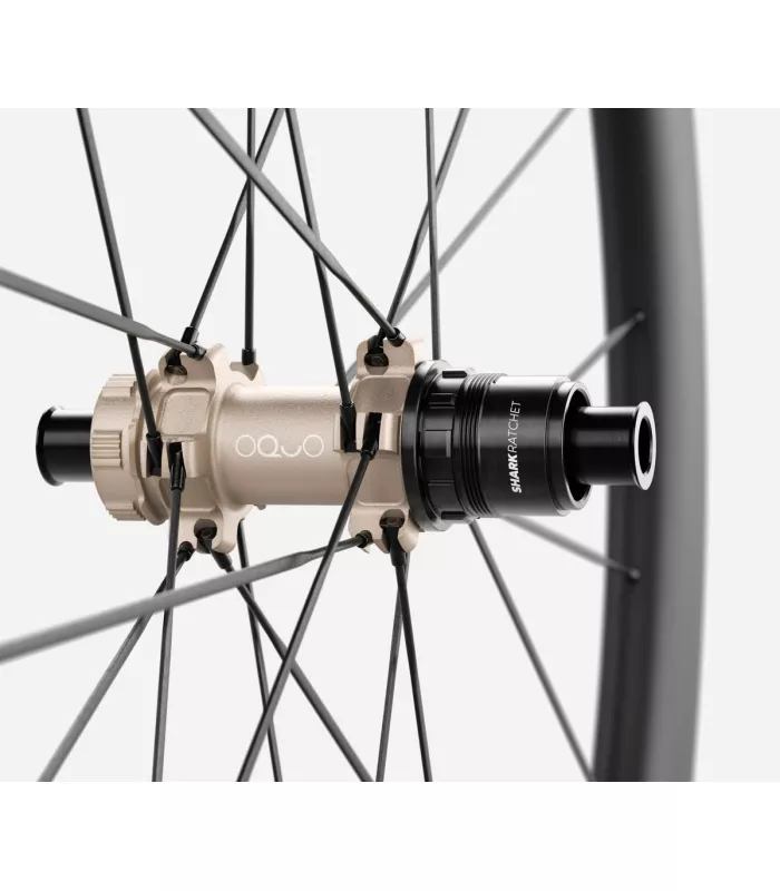 Roue arrière OQUO RP45LTD CS SRAM XDR