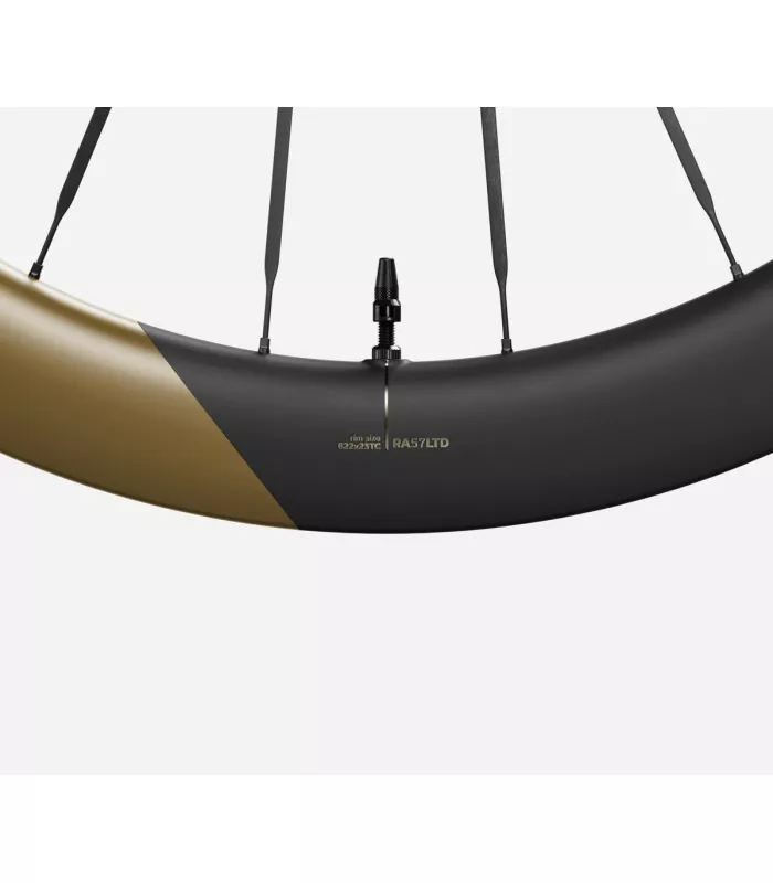 Roue arrière OQUO RA57LTD CS SHIMANO HG