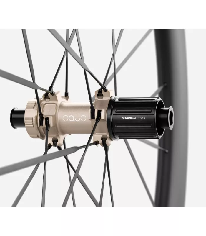 Roue arrière OQUO RA57LTD CS SHIMANO HG