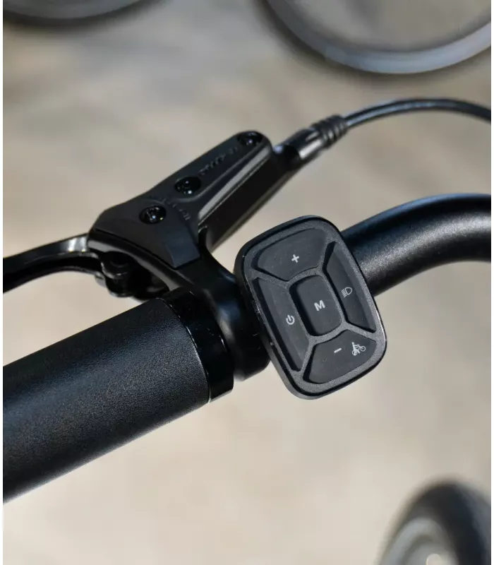 Vélo électrique Tenways CGO800 Plus 2026