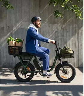 Vélo électrique Niu BQi Utility 200