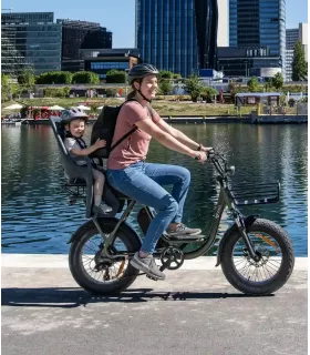 Vélo électrique Niu BQi Utility 200