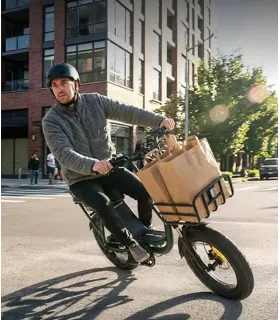 Vélo électrique Niu BQi Utility 200