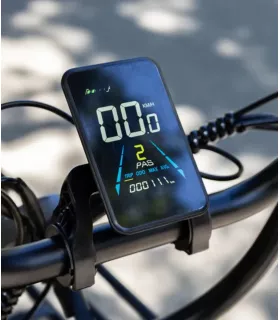 Vélo électrique Niu BQi Utility 200