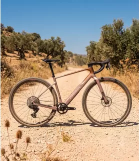 Vélo Gravel Orbea TERRA M31eTEAM 1X 2027