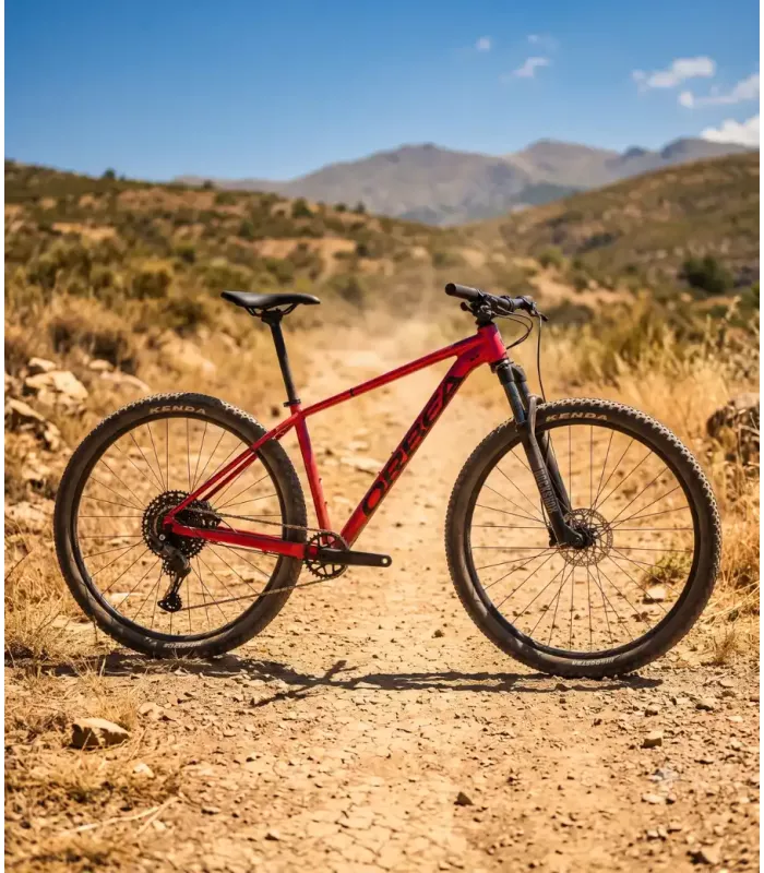 VTT Orbea ONNA 29 20 2027
