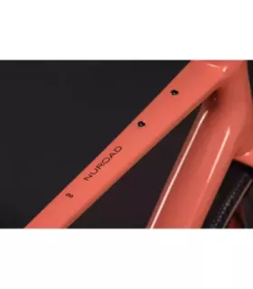 Vélo Gravel Cube Nuroad ONE 2027