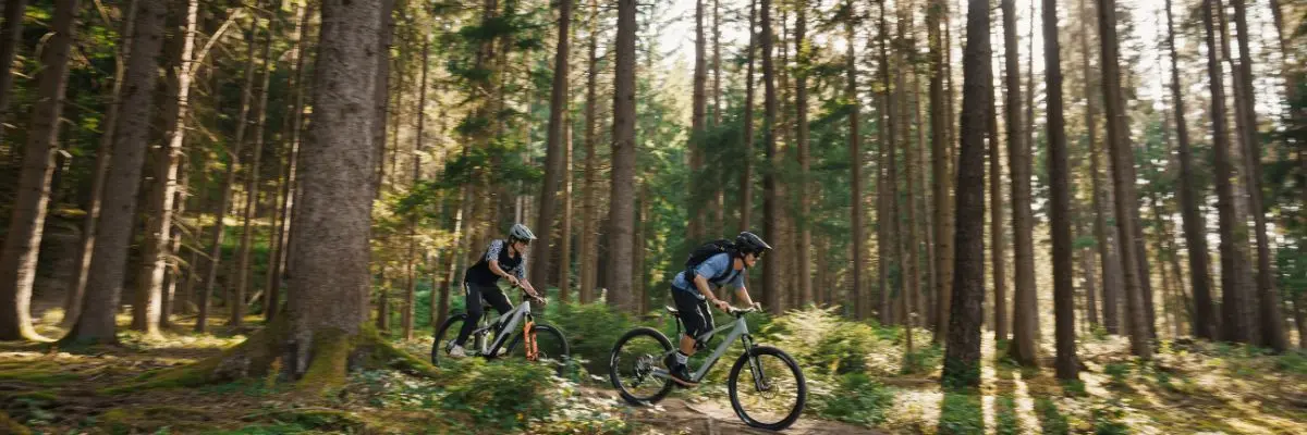 Choisir un VTT selon son terrain : roulant, mixte, technique