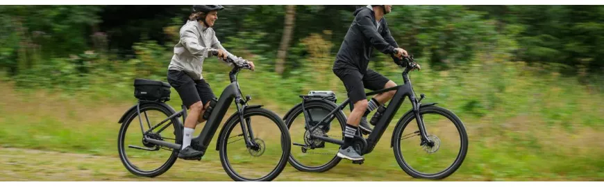Top 5 des vélos électriques en promotion 